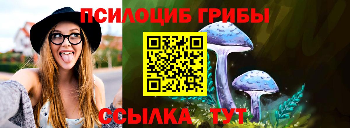 Псилоцибиновые грибы мицелий  Вход с VPN  Жигулёвск 